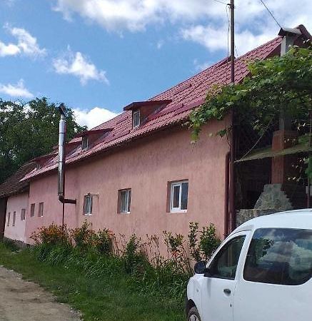 Casa Boierului Imbri Villa Cîrţişoara Kültér fotó