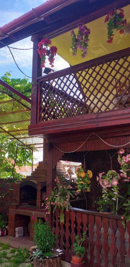 Casa Boierului Imbri Villa Cîrţişoara Kültér fotó