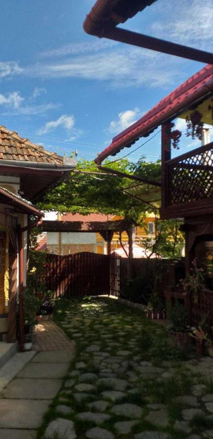 Casa Boierului Imbri Villa Cîrţişoara Kültér fotó