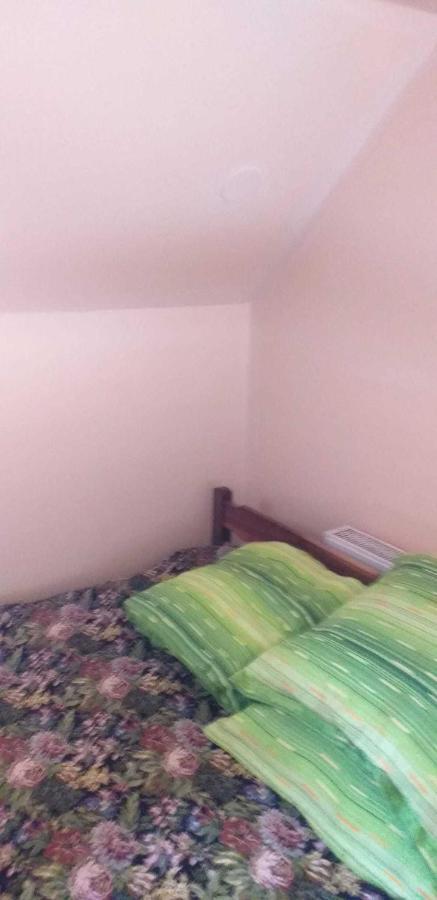 Casa Boierului Imbri Villa Cîrţişoara Kültér fotó