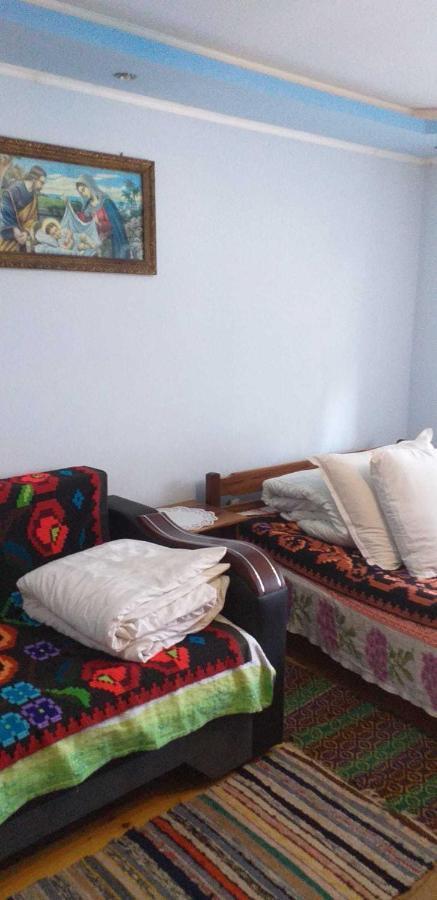 Casa Boierului Imbri Villa Cîrţişoara Kültér fotó