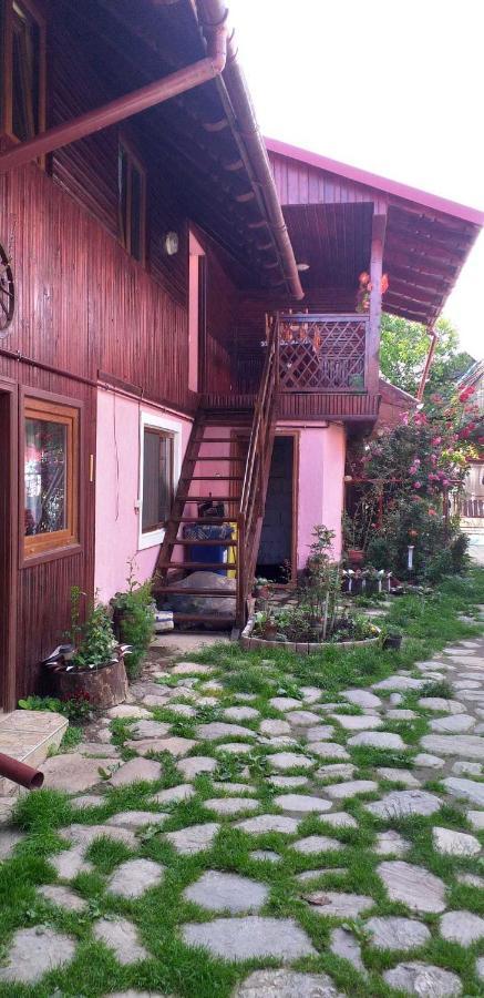 Casa Boierului Imbri Villa Cîrţişoara Kültér fotó