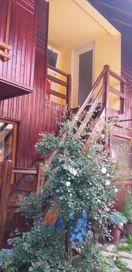 Casa Boierului Imbri Villa Cîrţişoara Kültér fotó