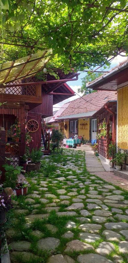 Casa Boierului Imbri Villa Cîrţişoara Kültér fotó