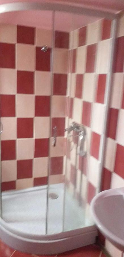 Casa Boierului Imbri Villa Cîrţişoara Kültér fotó