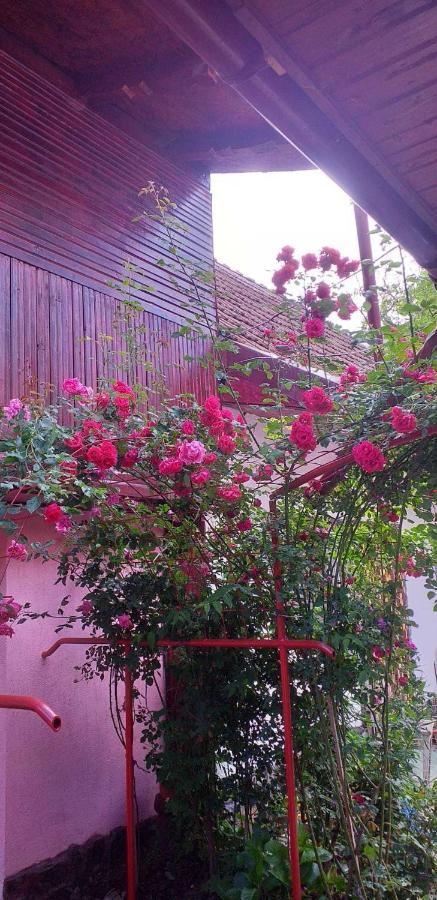 Casa Boierului Imbri Villa Cîrţişoara Kültér fotó