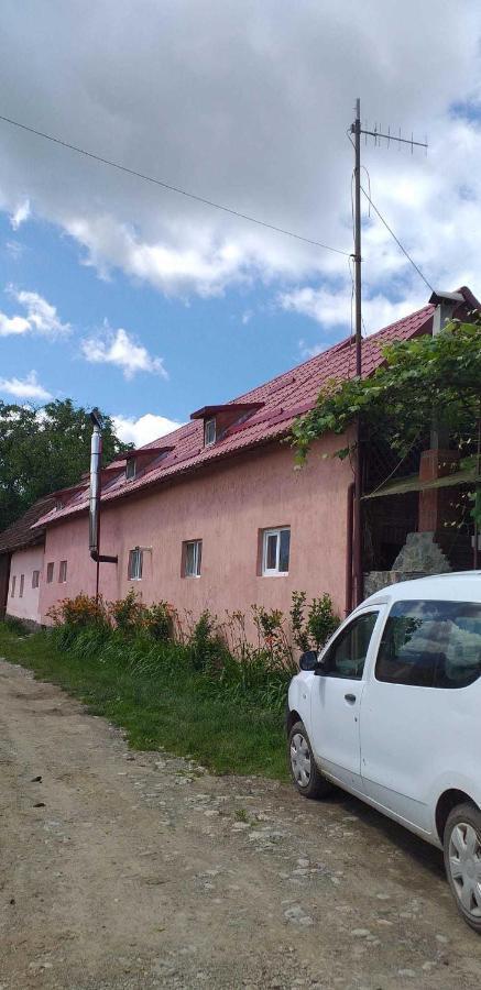 Casa Boierului Imbri Villa Cîrţişoara Kültér fotó