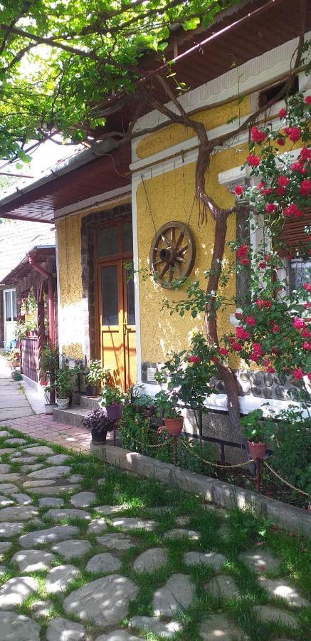 Casa Boierului Imbri Villa Cîrţişoara Kültér fotó