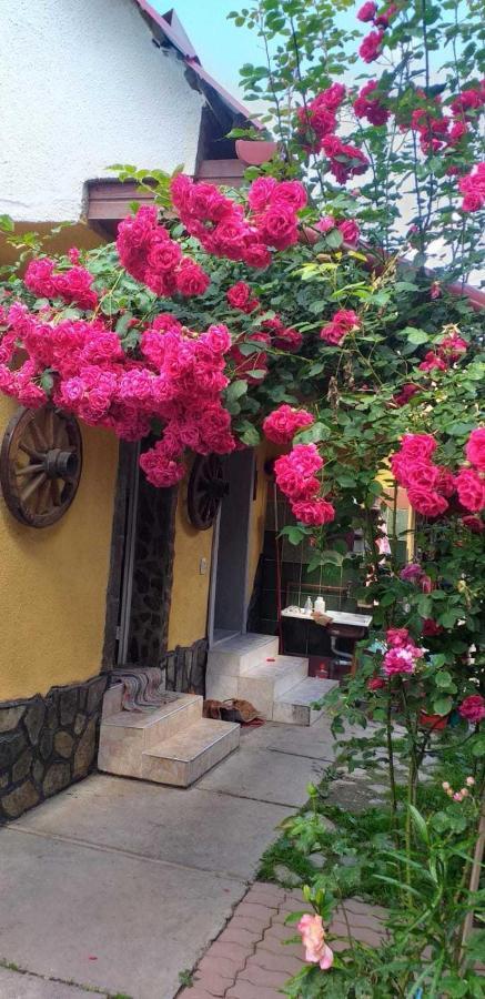 Casa Boierului Imbri Villa Cîrţişoara Kültér fotó