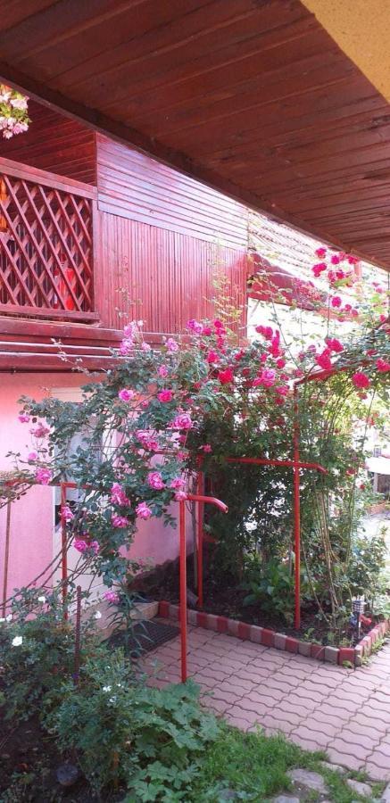 Casa Boierului Imbri Villa Cîrţişoara Kültér fotó